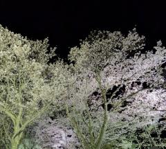 受付終了まであと少し