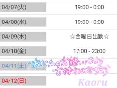 ☆.お花見/明日から出勤します