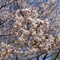 EXECUTIVE【宮崎店】　