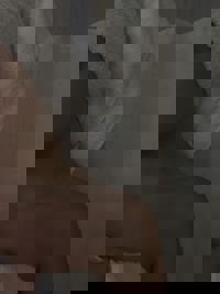 CLUB ULTRA　かおり