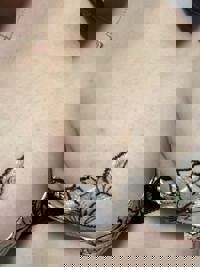 みんなお久しぶりです