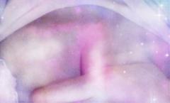 私の部屋のお兄様?