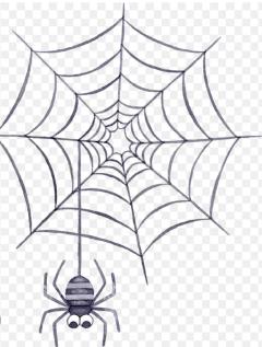 ミセス☆ルビー 都城市デリヘル しおり❤︎H♡な研究家♡綺麗お勧め 写メ日記「狙われてます･･･私😱」