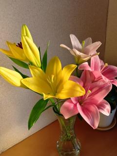 ご主人様いらっしゃい 大分店　