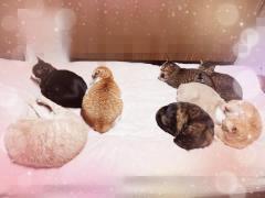  みどり【五十路】