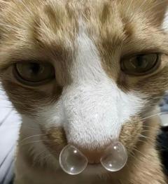 こんばんは(?????▽?????)