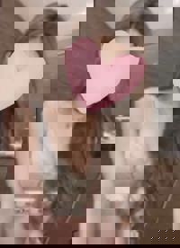 沖縄本舗　はな