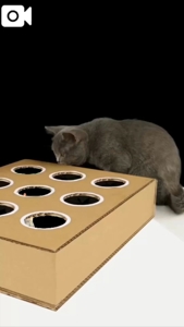 やはり寝るのが好き