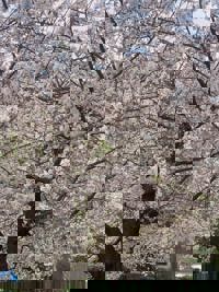 出勤しました♪