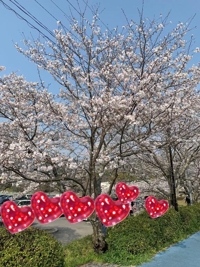 博多待機しています