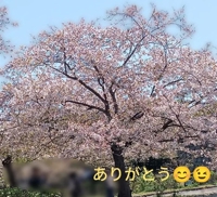 待ちナビ(福岡市) あゆみ