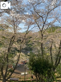 Luxury(鹿児島市) 寿じゅら(プラチナ）