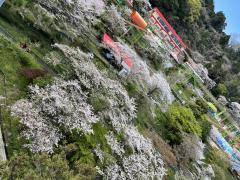 おはようございます