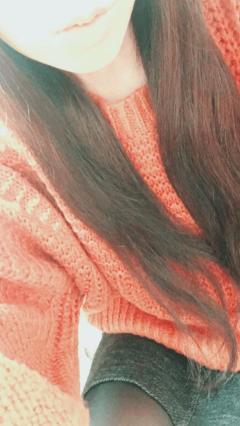 クロコとシロコ。