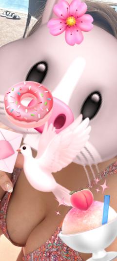 おはようございます😃