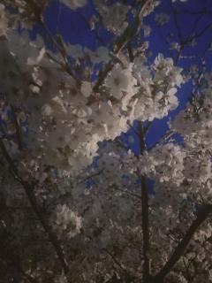 お久しぶりです