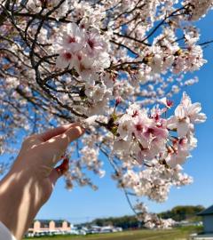 CLUB LUMINE　Hanna【はんな】