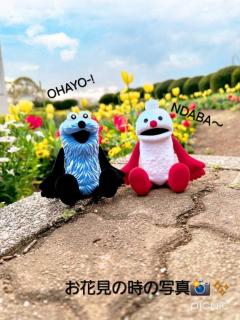 今日は誕生日〜??