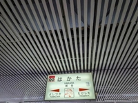 感謝でいっぱいの再会