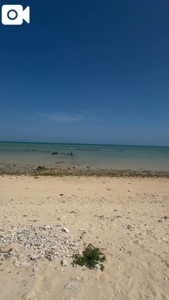 撮影がんばりました