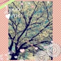 生憎の雨(≧∀≦)