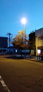 逆夜這いのあなた