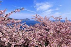 おはようございます〜🏙️