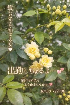 ベビードール　さとみ