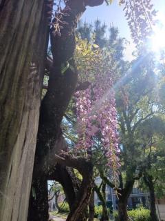  りと☆聖水黄金AF対応Lカップ☆