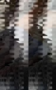 まってるねん！