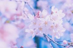 人妻ｒｅ：スタート 宮崎市デリヘル 【体験】森ことね 写メ日記「おはようございます??」