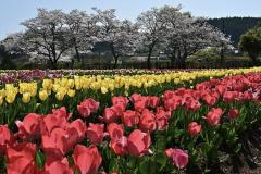 おはようございます〜🏙️