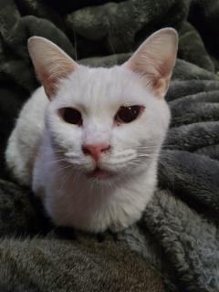 おはようございます。