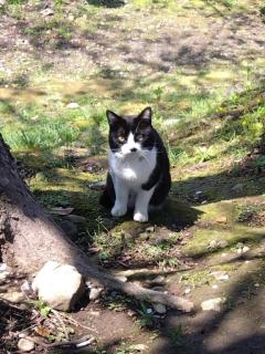 ☆かたつむり☆