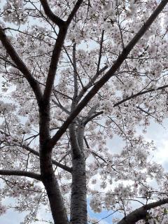 明日はお誘いご予約あるかなぁ。