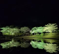 明日は出勤致します