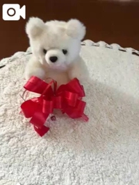 ドジャースウグイス