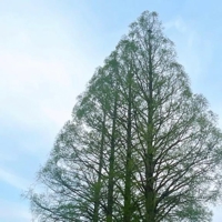 今日から３日間