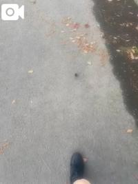 24時以降電話受付のみ