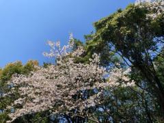 ２回目のお兄様