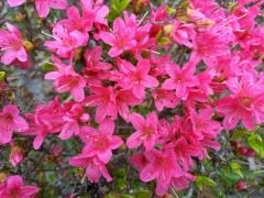 冷蔵庫が空っぽ(^o^;)