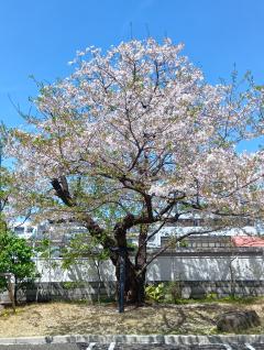 ありがと〰️う💞