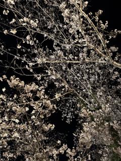 お礼＆受付終了