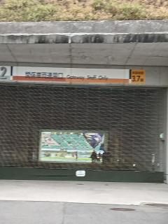 今から試合なんや