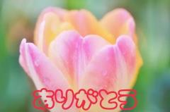 人妻ｒｅ：スタート 宮崎市デリヘル 【体験】森ことね 写メ日記「お礼」