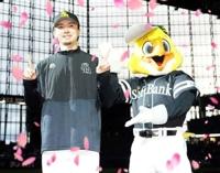 プロ野球、結果