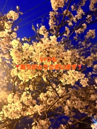 お休みばかりでごめんね