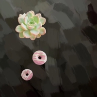 宮崎ちゃんこ都城店(都城市) うみ