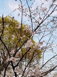 ありがとうございました