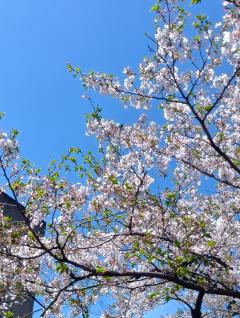 こんばんは🌠
ありがと〰️う💞